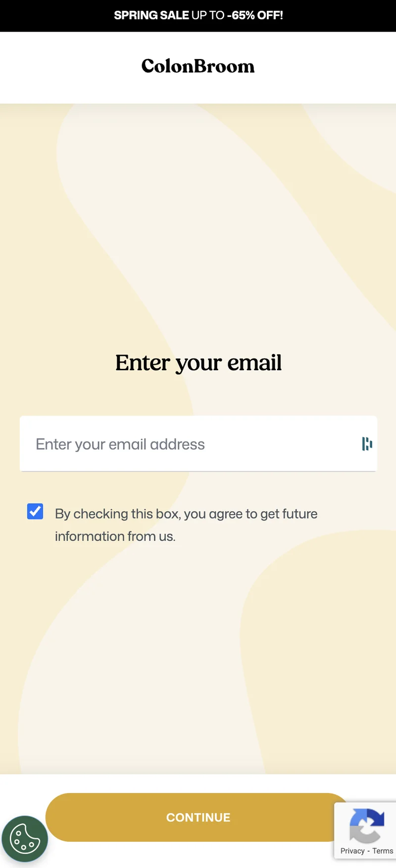 Email Capture