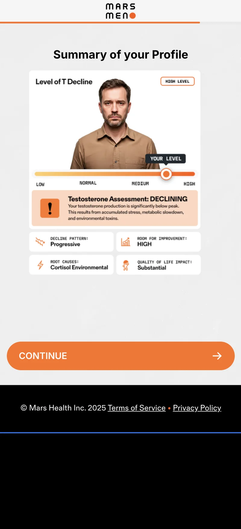 Testosterone Profile Summary