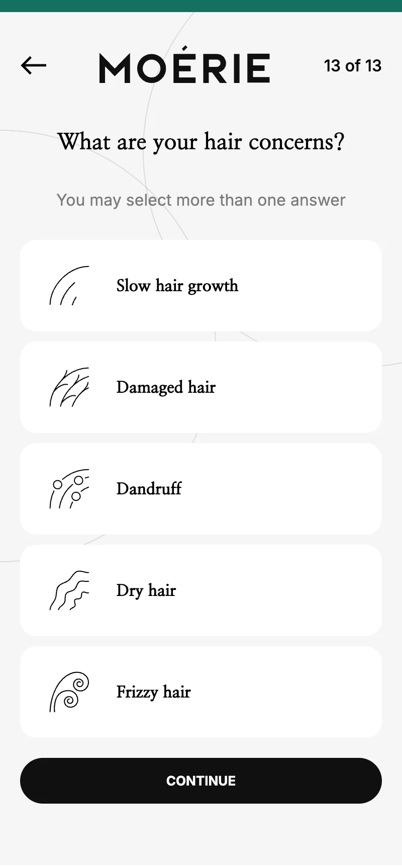 Q13 — Hair Concerns (Multi-Select)