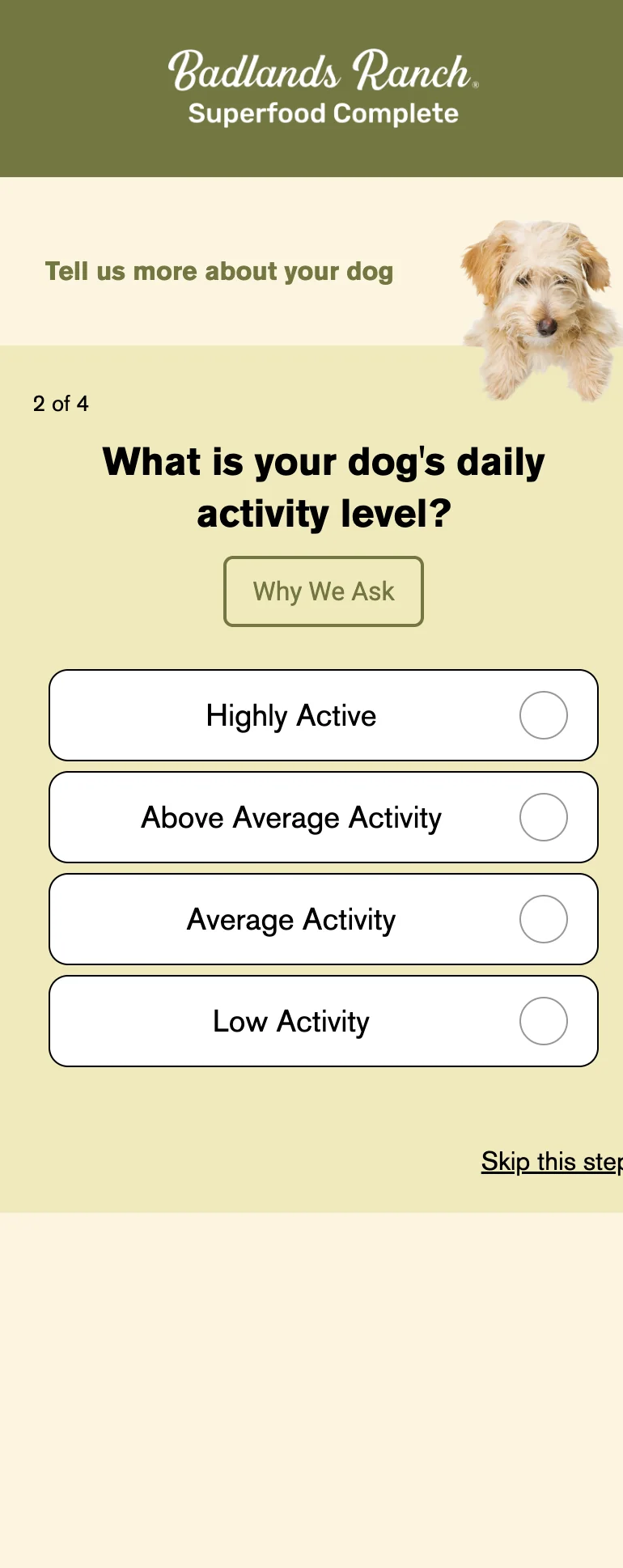Q2 — Daily Activity Level