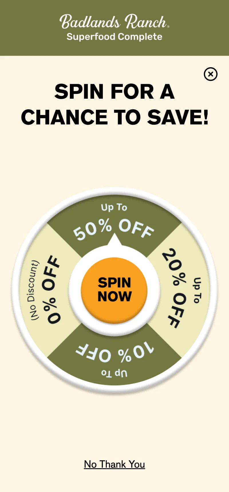 Spin to Save — Gamified Discount