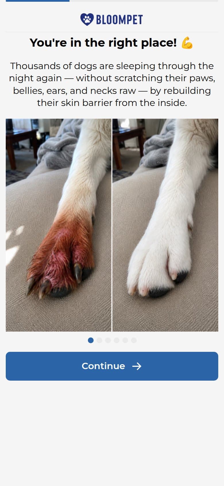 Interstitial — You're in the Right Place, Paw Before-After