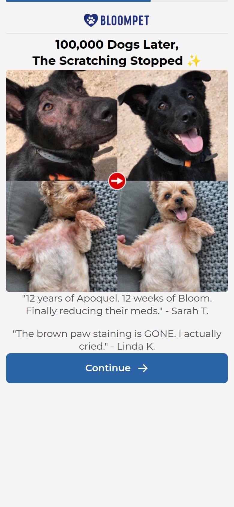 Interstitial — 100,000 Dogs Later