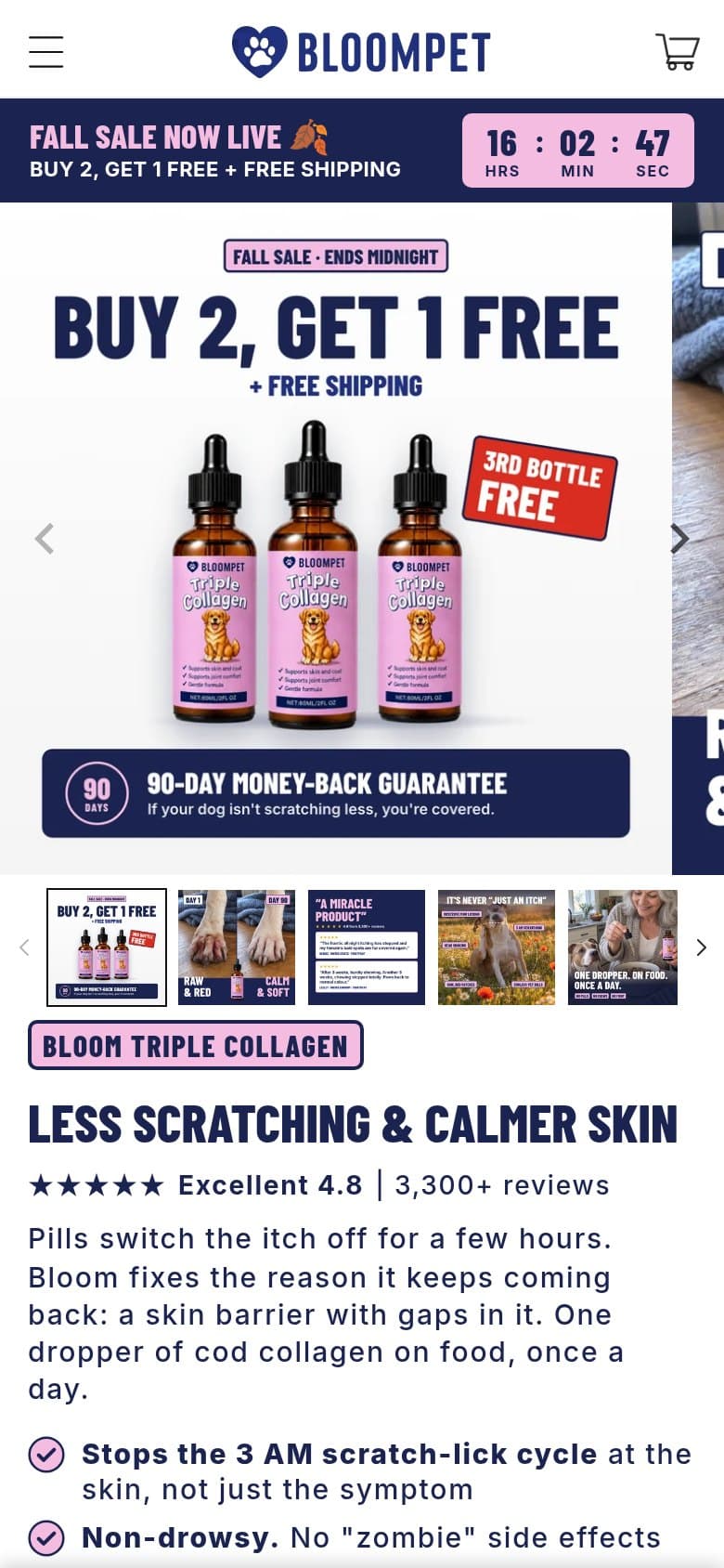 Offer — Fall Sale, Buy 2 Get 1 Free