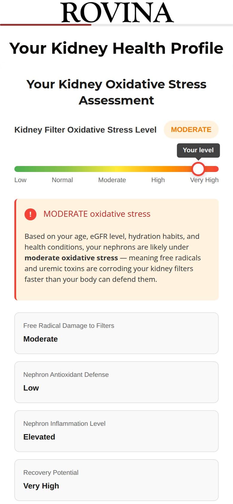 Results — Kidney Oxidative Stress Assessment