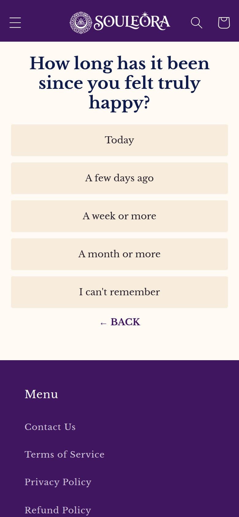 Q5 — Since You Felt Truly Happy