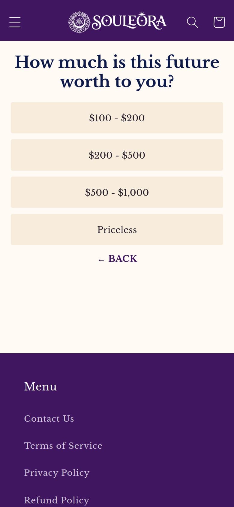 Q8 — How Much Is This Future Worth to You?